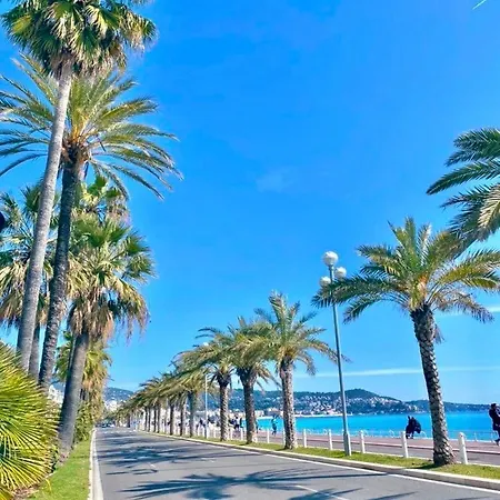 Apartament 3 Pieces A